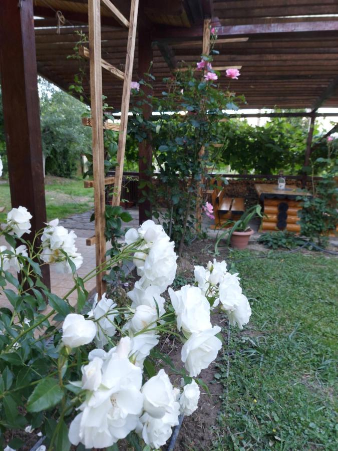 Kolpinghaus Bed and Breakfast Caransebeş Buitenkant foto