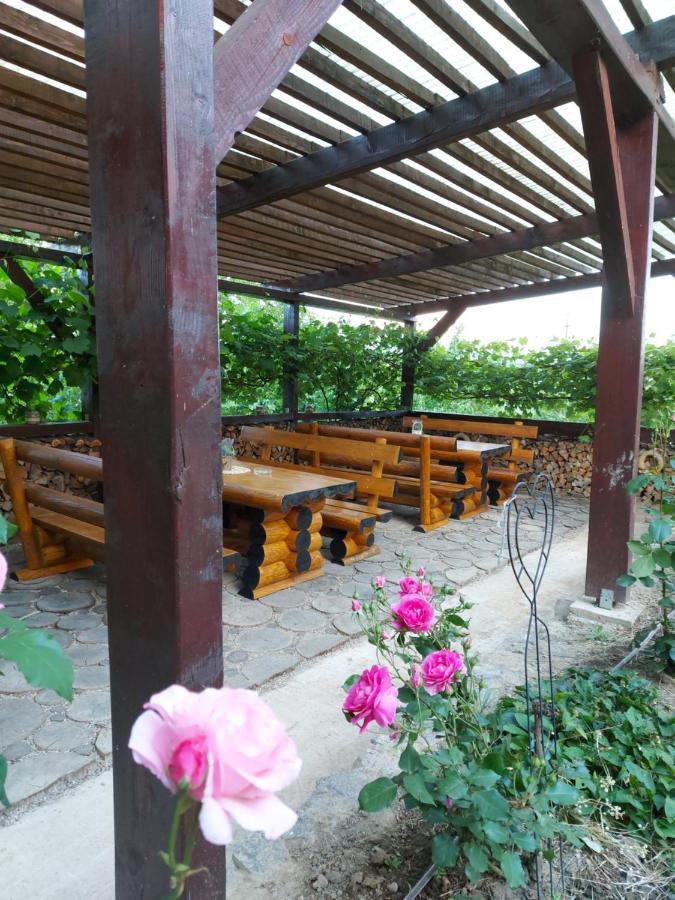 Kolpinghaus Bed and Breakfast Caransebeş Buitenkant foto