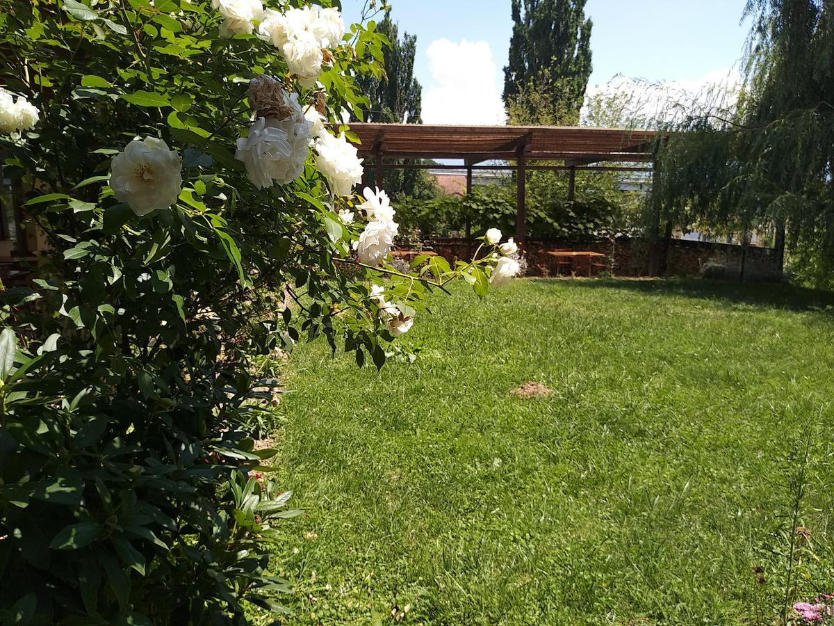 Kolpinghaus Bed and Breakfast Caransebeş Buitenkant foto